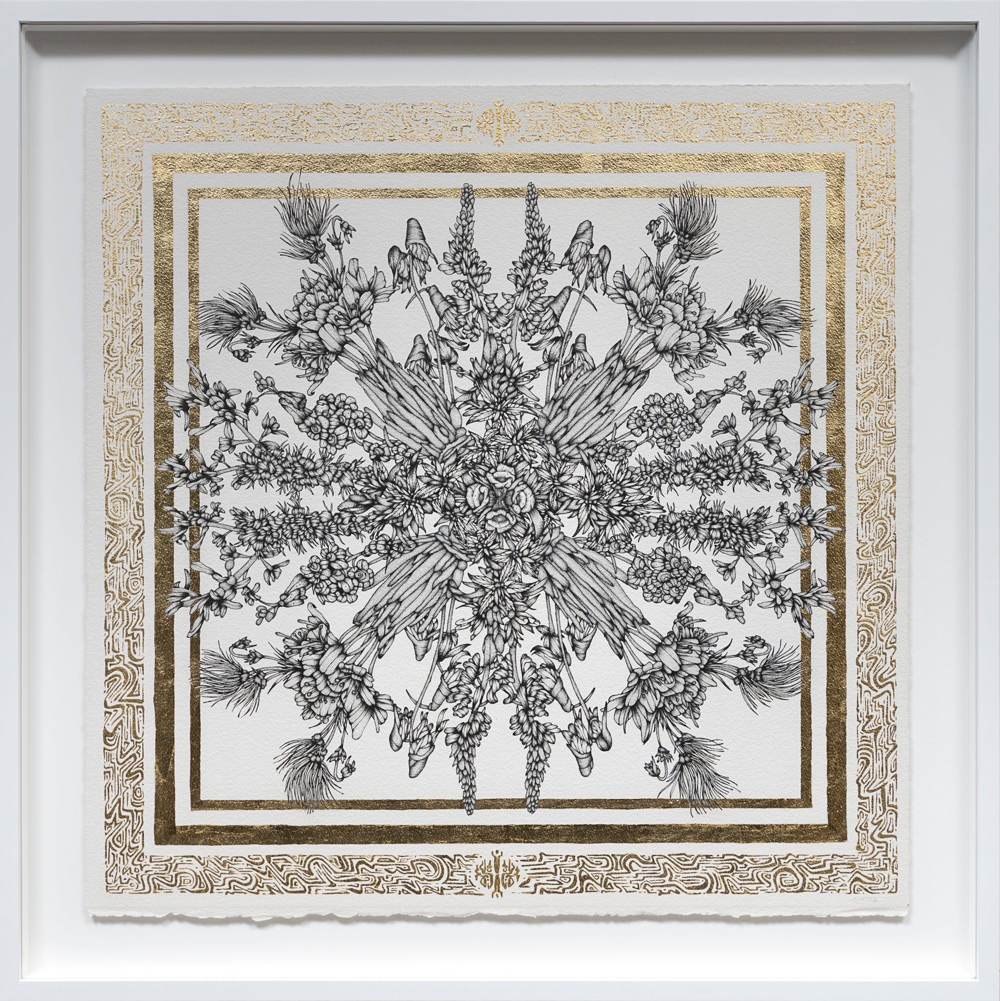 Floral Vortex 2