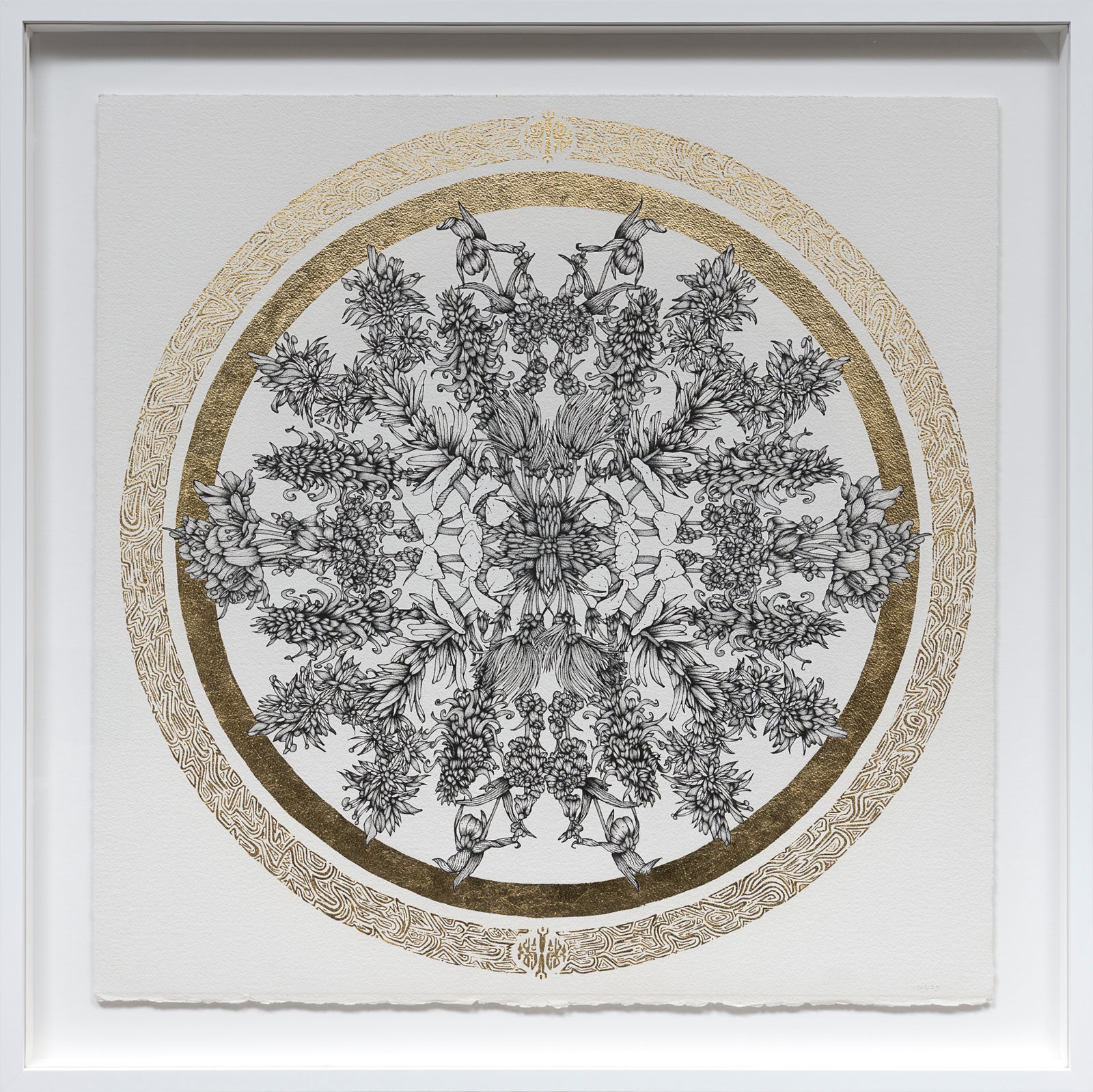 Floral Vortex 5