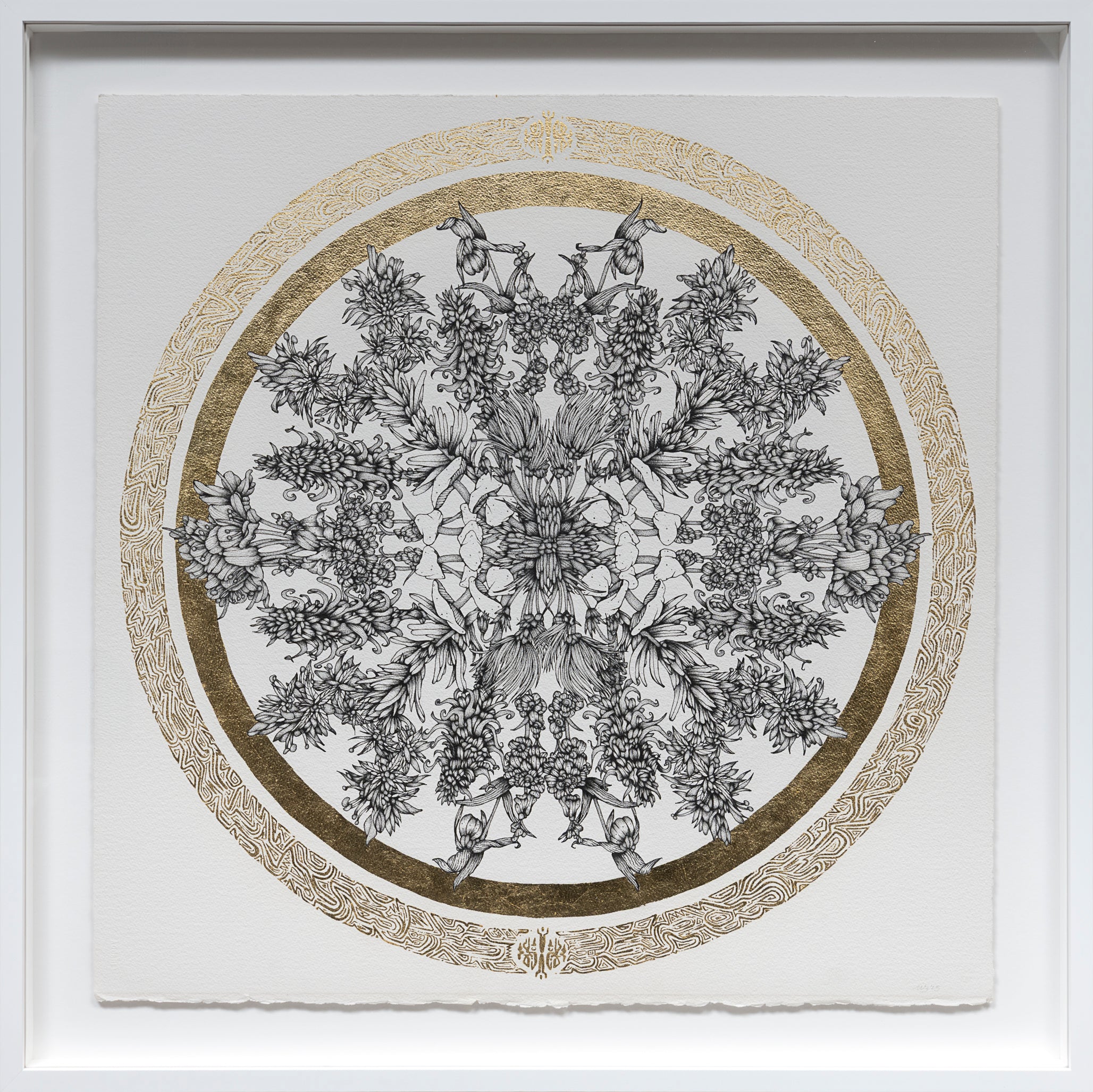 Floral Vortex 5