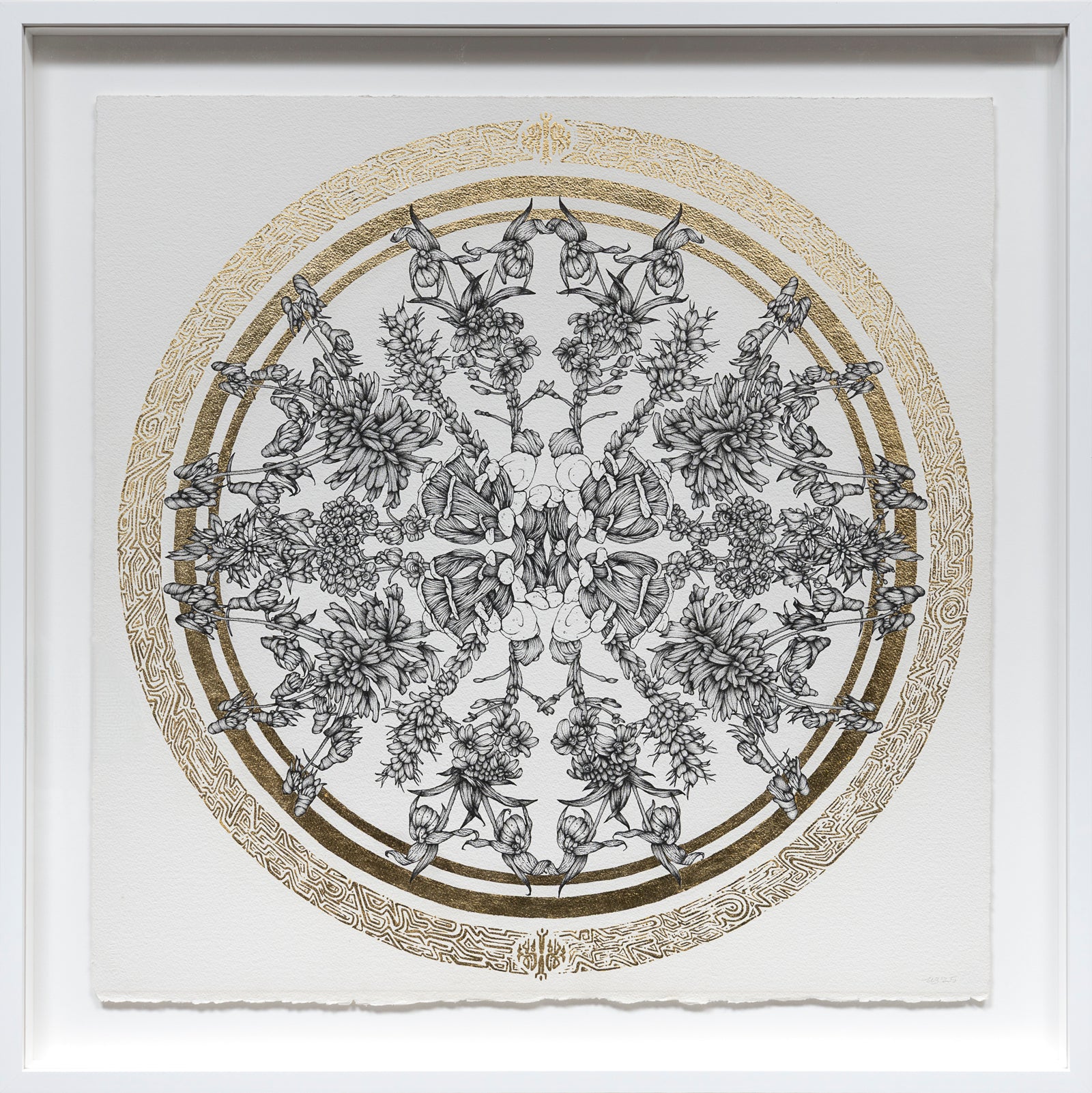 Floral Vortex 7
