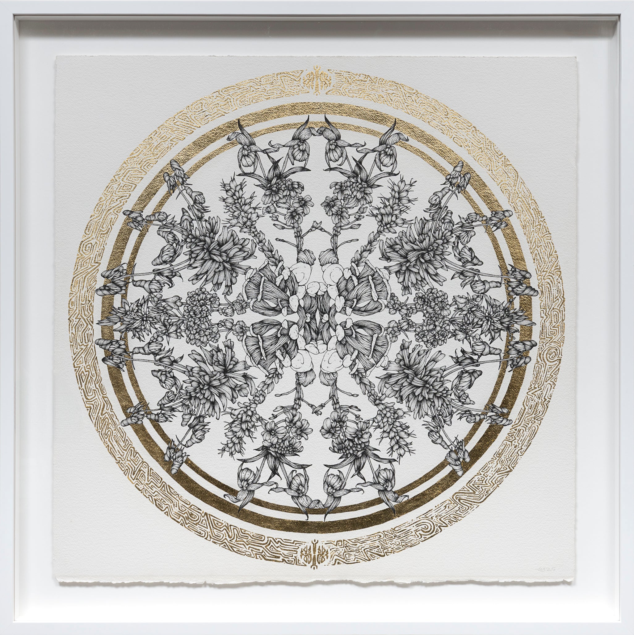 Floral Vortex 7