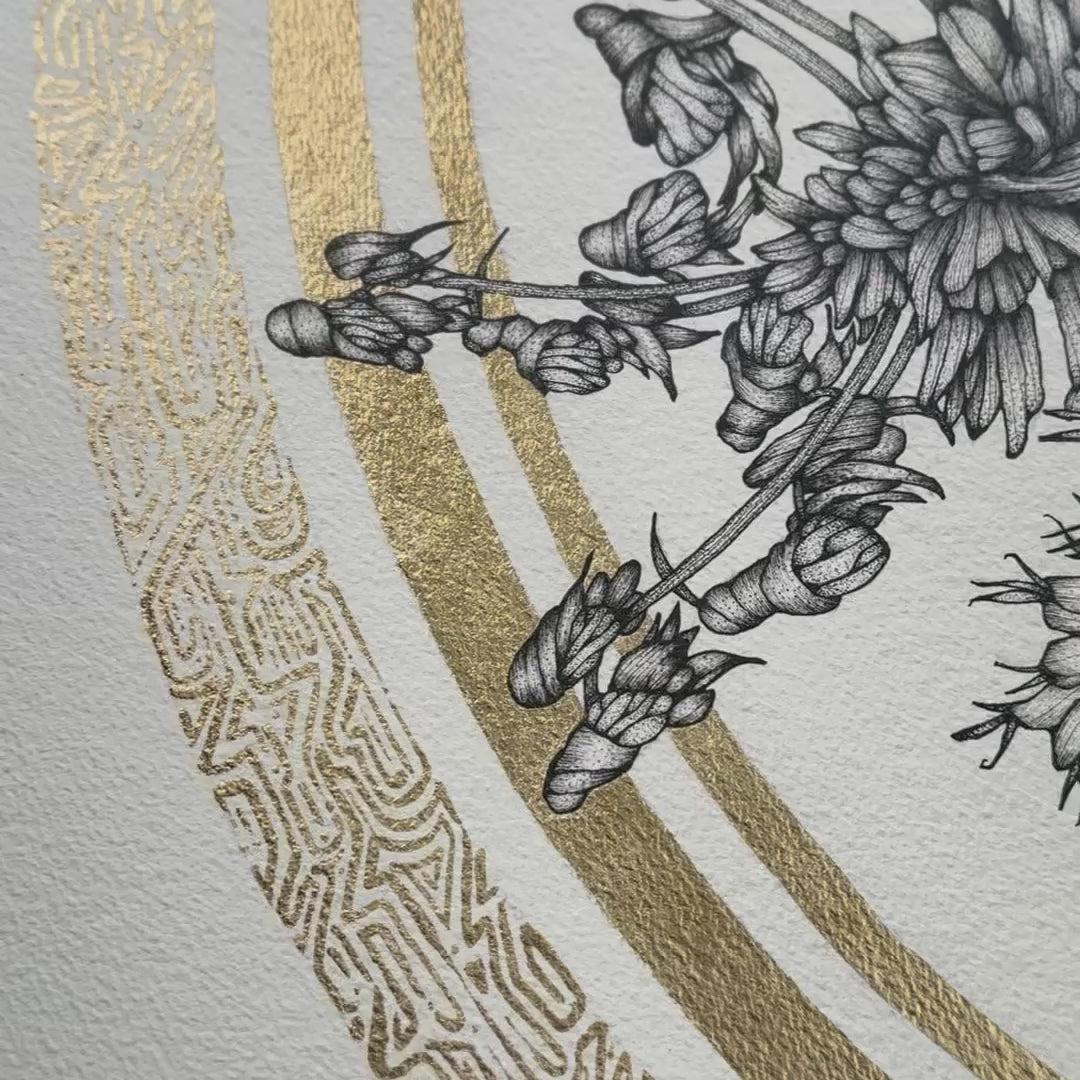 Floral Vortex 7